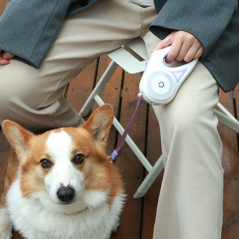 Retractable Dog Leash with Collar – Automatic Lock & Spotlight for Small & Medium Pets