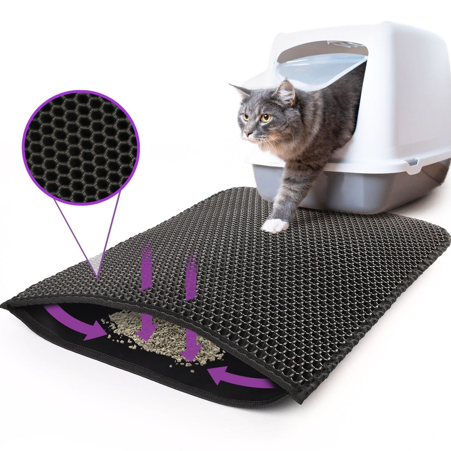 PawTrain – Training & Hygiene