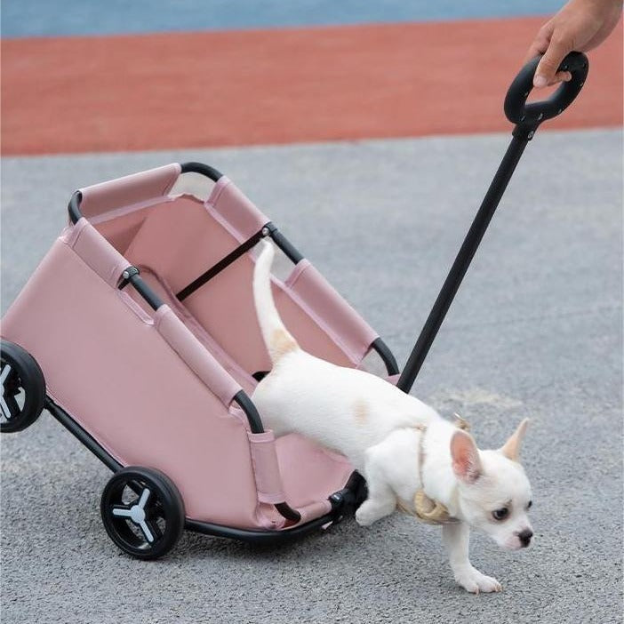 Pet Strollers – Travel & Outdoors